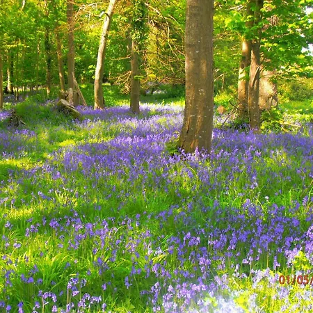 Kiln Apartment Killarney