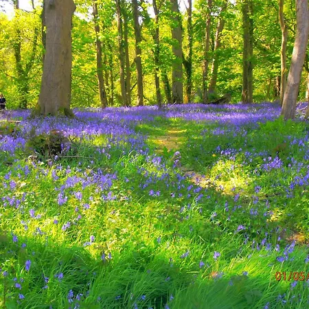 Lägenhet Kiln Cill Airne